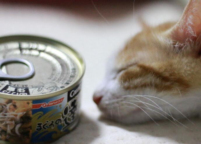 宠物食品市场扩容，食品机械企业迎机遇