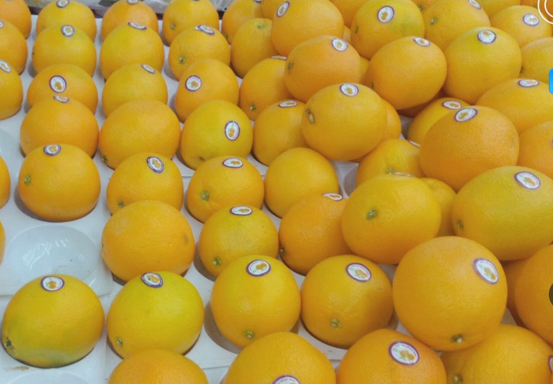 選果機(jī)為贛南臍橙產(chǎn)業(yè)注入新動(dòng)能