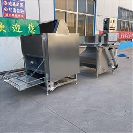 全自動雞脫毛機 省人工