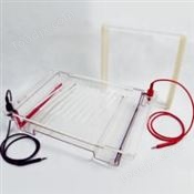 DYCP-32C型瓊脂糖水平電泳儀(大號) 高透明度聚碳酸酯注塑成型