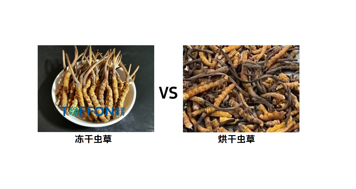 58bdac6d-fa00-47cc-af29-ee5c4af3330b